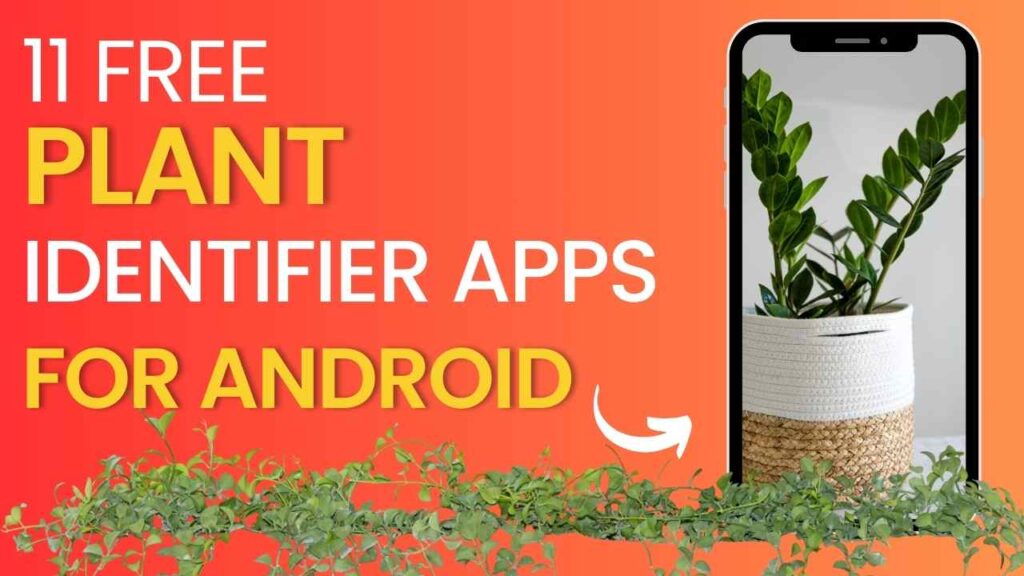 11 free plant identifier apps for android